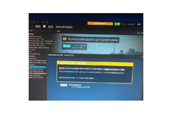 pubgmobile 辅助卡盟：游戏作弊的背后